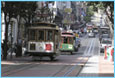 Trolley Tours